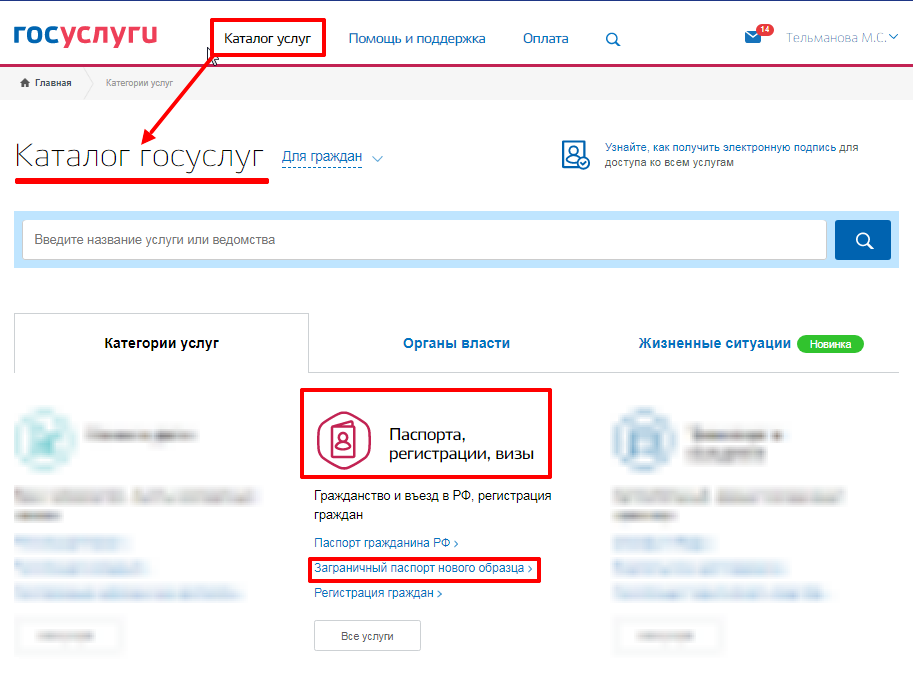Можно ли оформить госуслуги. Как заполнить паспорт на госуслугах. Госуслуги образец. Образец паспорта на госуслугах. Как заполнять данные паспорта на госуслугах.
